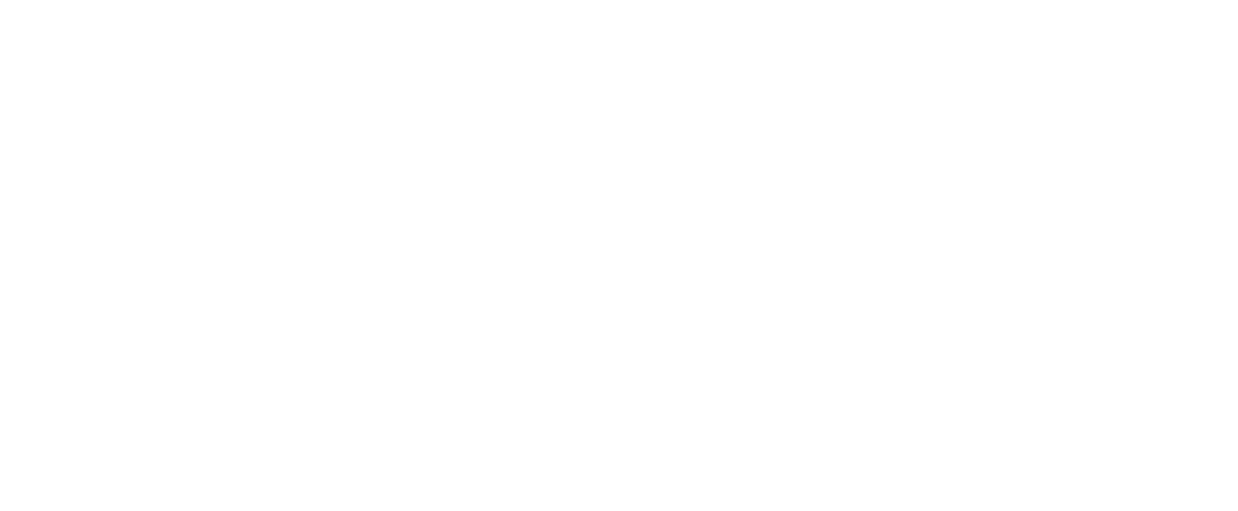 logo-SSL